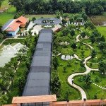 Bán nhà vườn rộng 4.370m2 ngay thị trấn hậu nghĩa