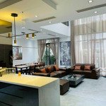 Bán căn hộ duplex vip nhất roman plaza.