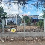 Đất Chính Chủ Ở Bình Chánh, Tân Kiên. Giá Bán 1Tỷ12 Ngay Đường Cây Bàng. Gần Chợ Bờ Ngựa, Kdc Đông Đúc