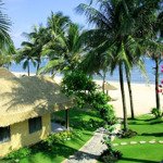 Resort 4* mũi né - phan thiết mặt biển dài 100m