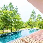 Tôi cần bán biệt thự bách thanh flamingo đại lải resort, dt 323m2 - 3pn đầy đủ nội thất giá 8,7 tỷ