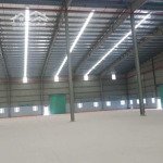 Cho thuê khu nhà xưởng mới xây dựng diện tích 52.000 m2 trong kcn đồng xoài, bình phước