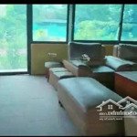 Bán trang trại nhà vườn hơn 7000m2 ngay tại hà nội cách kđt tây nam linh đàm vài km