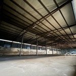 Cho thuê kho xưởng 1000 - 2500m2 đường 5 mới xã nam sơn, an dương, hp. lh mr. đông 0986351619