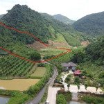 Chính chủ cần bán 1,9 ha đất rừng bám suối to lương sơn