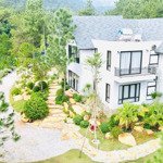 Thanh khoản căn villa .có sổ đang kinh doanh dòng tiền 
diện tích 3600m đã có tường bao
địa chỉ tại