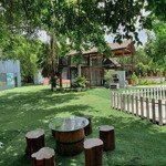 Bds hvl cho thuê homestay 4300m2 trường lưu, long trường, quận 9