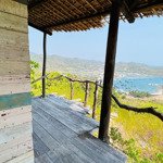 Bán đất biển vĩnh hy ninh thuận 8000m2 view biển 0989678607