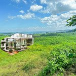 6563m2 đất cln view hồ trị an đang ngộp bank cómặt tiền82m 700 triệu/1000m2