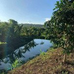 Bán vườn trái cây sầu riêng bưởi dừa. view suối hồ tx buôn hồ đắk lắk