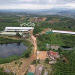 Cần bán trang trại 8,5 ha tại phúc thọ, lâm hà, lâm đồng