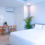 Q. bt nguyễn văn thương - boutique apartment kdc cao cấp 173, sẵn 22p có pccc, hd khoán 5000 đô