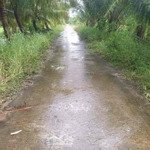 Vườn dừa 2,5 công ngang 16m xã an ngãi trung