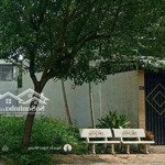 Đất Chính Chủ Ngộp Cần Bán Nhanh Giá 675 Triệu/110M2 Đường Đinh Bộ Lĩnh, Cao Lãnh, Đồng Tháp