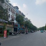 Cần bán nhà mặt phố nguyễn văn lộc, phường mỗ lao, cả phố kd, dt70m, 5 tầng, giá 22 tỷ