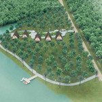 3000m2 vườn sầu riêng tặng home stay giá 350tr