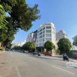 Bán nhà mặt phố lô góc tôn đức thắng - kinh doanh siêu vip 133m2*4t*21m mt=65 tỷ