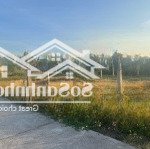 Bán đất thổ cư 98.8 m2 tiến hưng, tiến lợi, tp. phan thiết, giá ngộp chính chủ