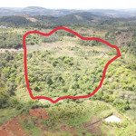 Hơn 2,2ha sổ sẵn cách quốc lộ 14 1,5km: 260 triệu/ha!