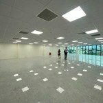 Bán 1000m2 sàn văn phòng hoàng đạo thúy, cầu giấy giá chỉ hơn 50 tr/m2