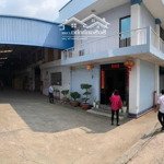 Kho xưởng mới cho thuê 4 600m2 ở dương đình cúc huyện bình chánh