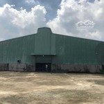Kho xưởng mới cho thuê 2.500m2 ở vĩnh lộc, huyện bình chánh