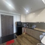 Cho thuê căn hộ 60m2 full nội thất chung cư mizuki park bình chánh