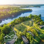 Bán căn hộ 1 phòng ngủflamingo đại lải resort, toà biệt thự trên không forest in the sky