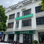 Cho thuê nhà mp lương thế vinh, vinhomes green bay, 75m2, 3,5 nổi 1 hầm. mt 6m, giá 60 triệu