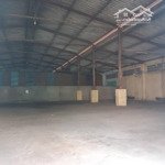 Cho thuê kho hoài thanh, phường 14, quận 8 -diện tích500m2