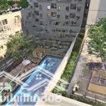 Cho thuê căn hộ fresca riverside tp thủ đức, 70m2(2pn, 2wc) giá 6,5tr