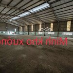 Kho xưởng văn phòng 2.300m2 cao ráo sạch sẻ nền bê tông chịu lực