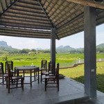 Chính chủ cần bán khu nghỉ dưỡng 3634m2 thực tế 4000m2 view cánh đồng sẵn sàng khai thác 0962792687