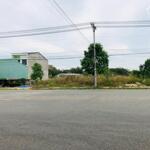 VỢ CHỒNG KẸT TIỀN BÁN LỖ HƠN 2100M2 ĐẤT SÁT CỤM KCN HOẠT ĐỘNG, CHỢ GIÁ RẺ 180TR