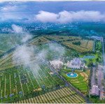 Chính chủ cần bán suất gia tộc 48m2 cực đẹp chỉ 1tỷ 199 triệu