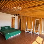 Cho thuê phòng trọ trong khu homestay sân vườn cực chill