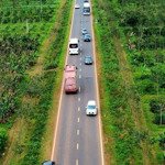 Bán vườn sầu riêng thu 130 câymặt tiềnđường tránh tây buôn hồ. đắk lắk.
