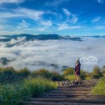 Bán gấp 700 m2 đất 2mt tp đà lạt. ngay đồi chè cầu đất, view săn mây.