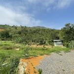 Bán 6sào5 giáp suối bên cạnh khu homestay ngay lộc thành bảo lâm