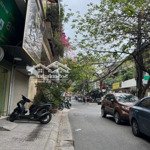 Siêu hót .tạ quang bửu 113 m ×5 t ×4.1mt giá bán 19 tỷ hai bà trưng
