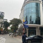 Hàng vip - bán nhà mặt phố cửa bắc, quận ba đình, vuông đẹp nở hậu nhẹ, mặt tiền 10m, 130 tỷ