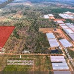 2ha khu farm hòa thắng, giá 3.8 tỷ, mặt tiền đường 91m