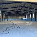 Cho thuê cụm kho 3700m2 ql26 hoà đông - krông pắc - đắk lắk