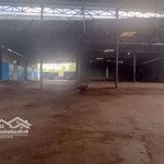 Cho thuê kho 2800m2 thành nhất có pccc