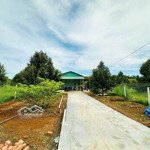 Cần bán đất sào giá rẻ tại xã tân hưng huyện đồng phú