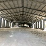 664. cho thuê kho xưởng 8000m2 tại phú giáo, bình dương