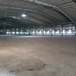 Cho thuê kho xưởng kcn tân đức, diện tích: 7100m2, pccc tự động , long an