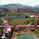 Chủ nợ ngân hàng bán nhanh 3000m2 mặt tiền đường nhựa 10m - có sẵn 200m2 thổ cư đang trồng trái cây