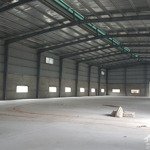 Cho thuê kho 1.500m2 - mặt tiền đường đào sư tích xã phước lộc h. nhà bè