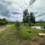 Bán nhà yến 15.000m2 có sẵn vườn trái cây sầu riêng, mít, dừa... gần trung tâm huyện khánh vĩnh